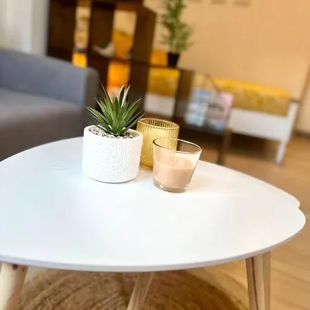 Neuf Entierement Equipe Proche Centre Apartament